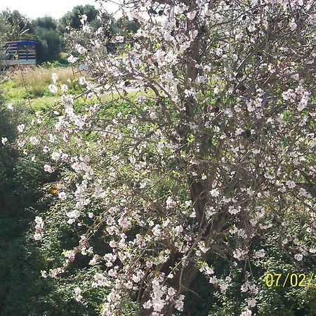 Casa Vacanze Mandorlo In Fiore Villa Avola Exteriör bild