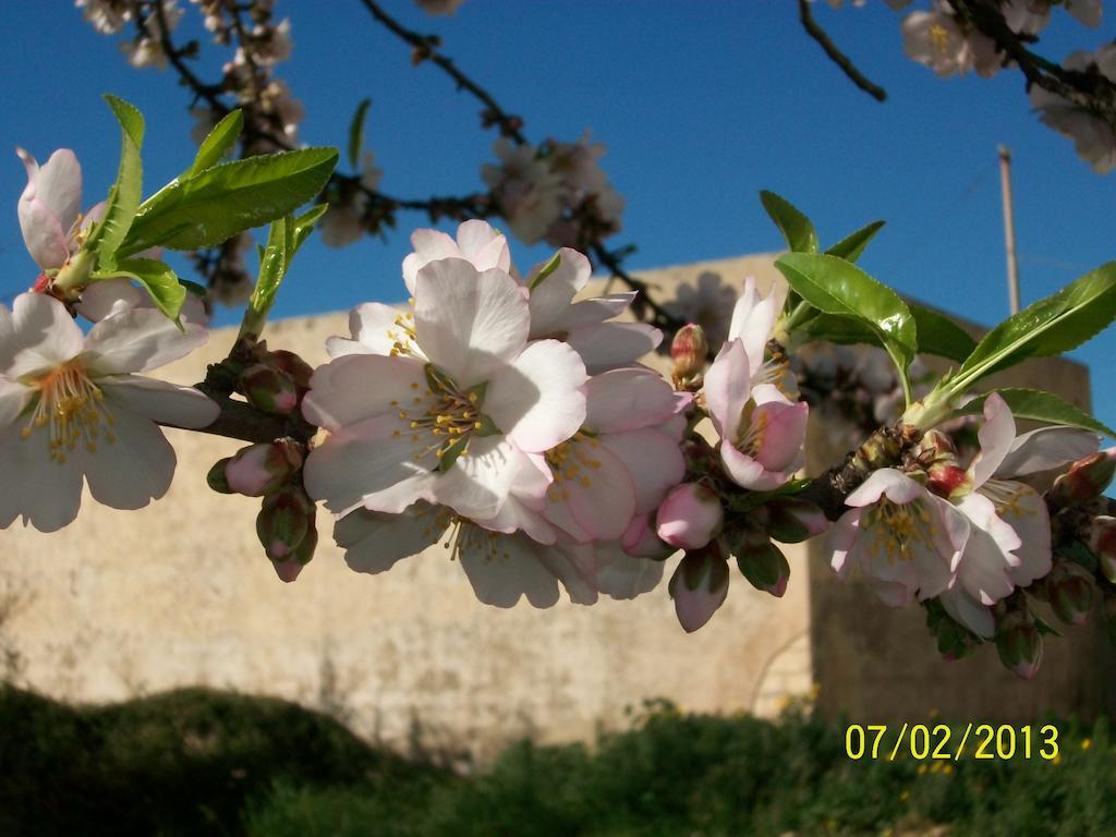 Casa Vacanze Mandorlo In Fiore Villa Avola Exteriör bild