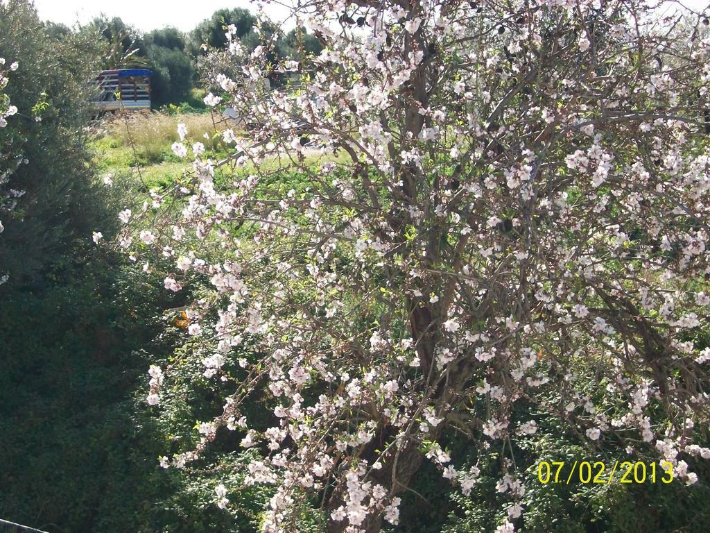 Casa Vacanze Mandorlo In Fiore Villa Avola Exteriör bild