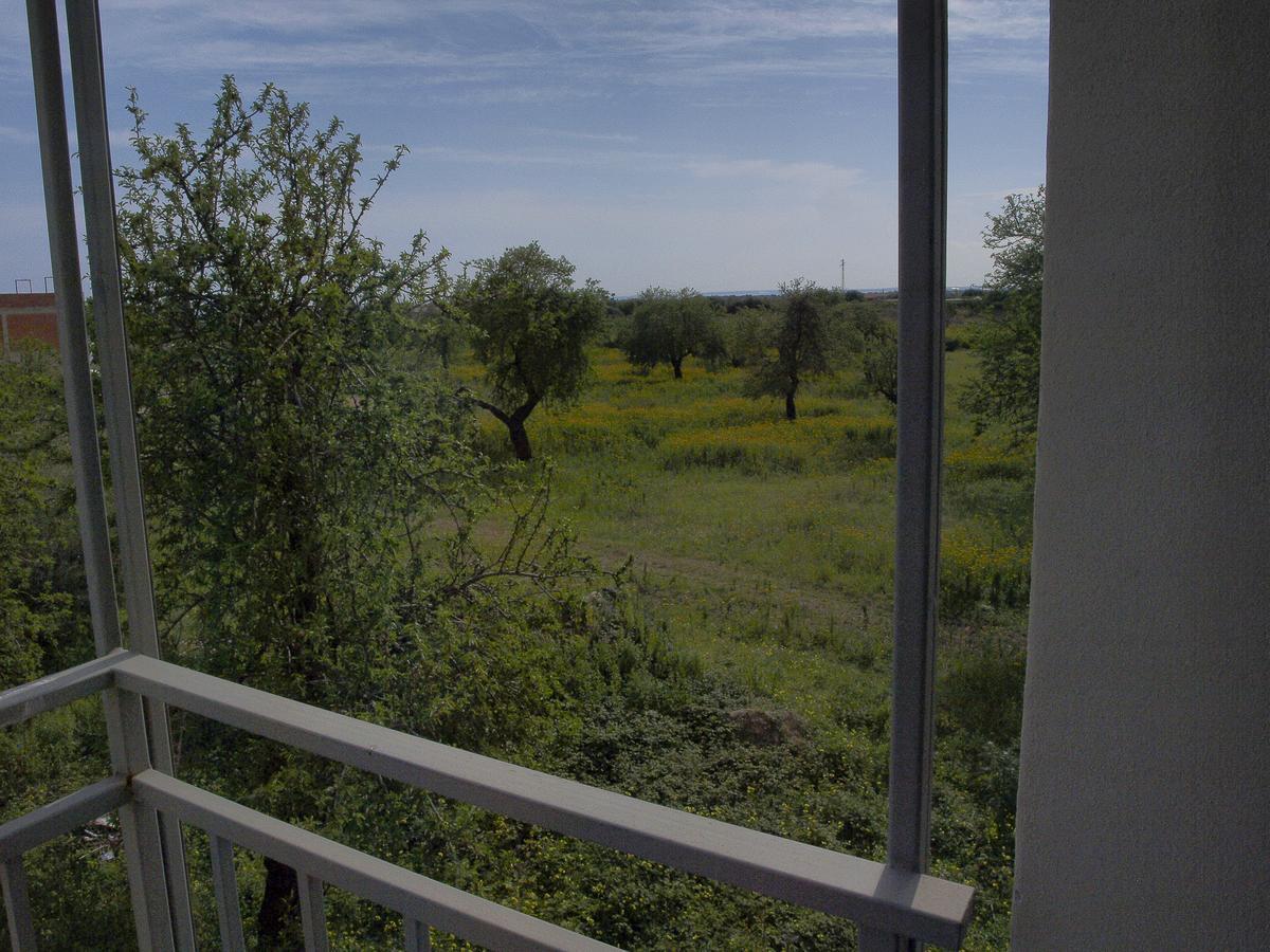 Casa Vacanze Mandorlo In Fiore Villa Avola Exteriör bild